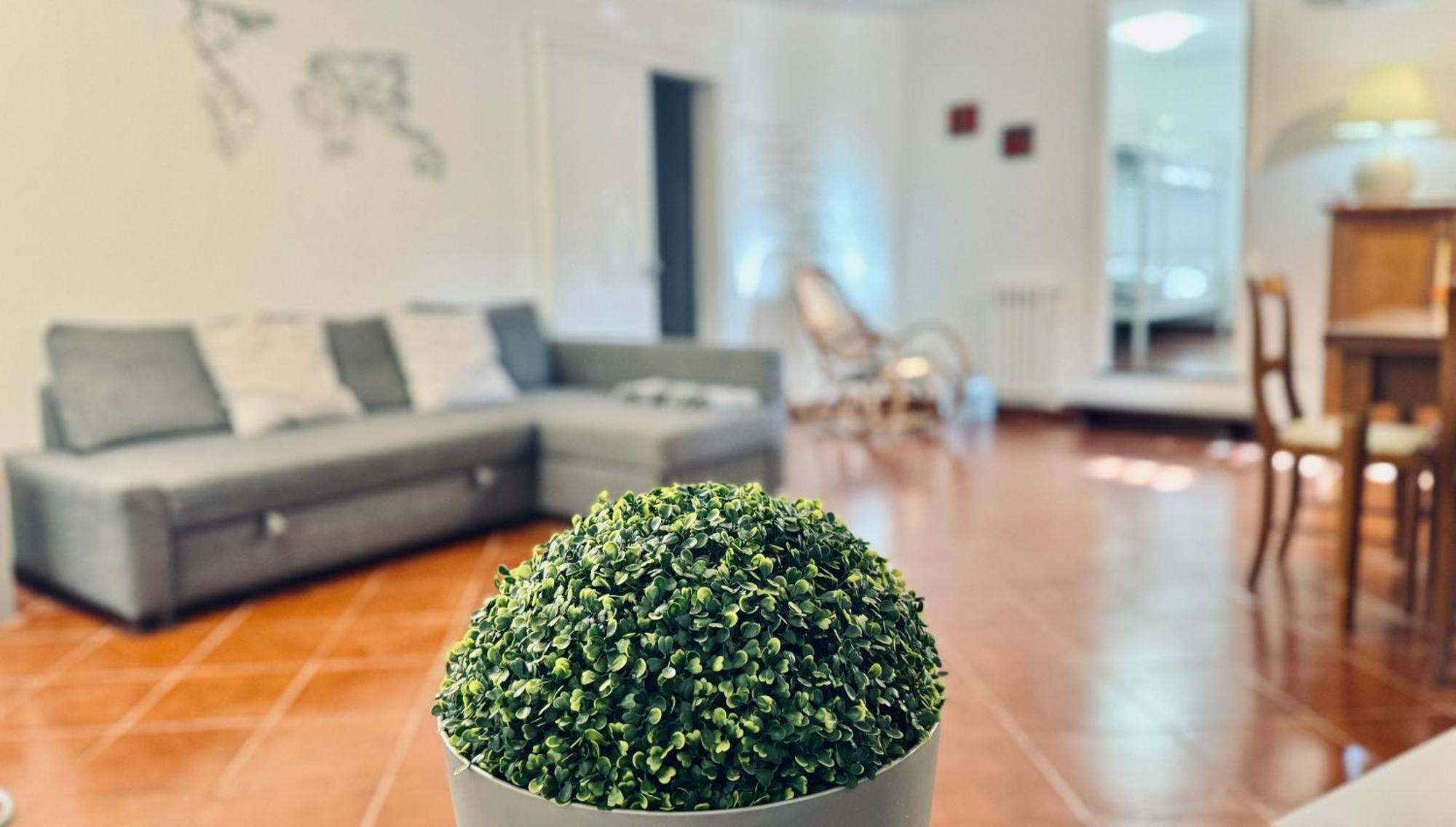 Seiundici Mondello Home מראה חיצוני תמונה